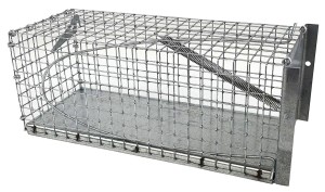 Żywołapka na myszy, nornice, szczury 27x11x11 cm