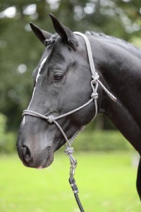 Kantar dla konia,sznurkowy, granatowy/beżowy, roz. Full, Covalliero