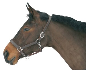 Kantar dla konia Eco, skórzany, brązowy, roz. Full, Covalliero