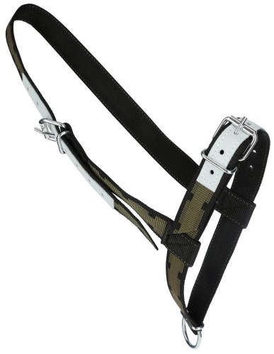 091e72698337ec8f7626573d26549efc