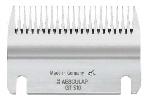 e307f37ce6c804109ec8bb66a0063c0c