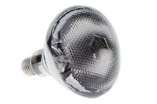 9bc30db3b513458b399f2bf5faf47bc7