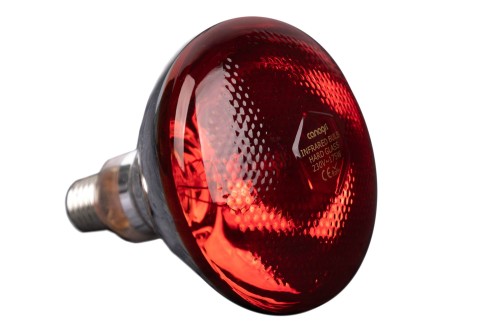 6602b2dff99c8bdc4ea57db741253f91