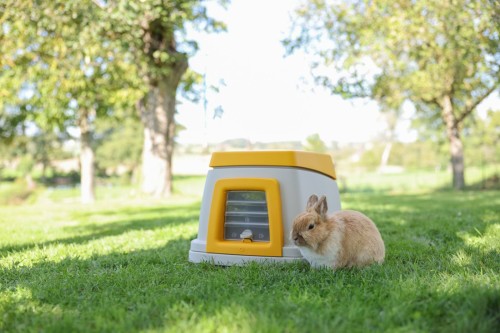 09e9ac13323fc133b25443bf3c73f98a