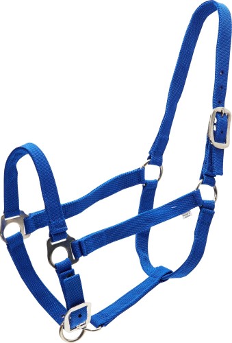 1b412bd2c596959cda46dd2f75a4999d