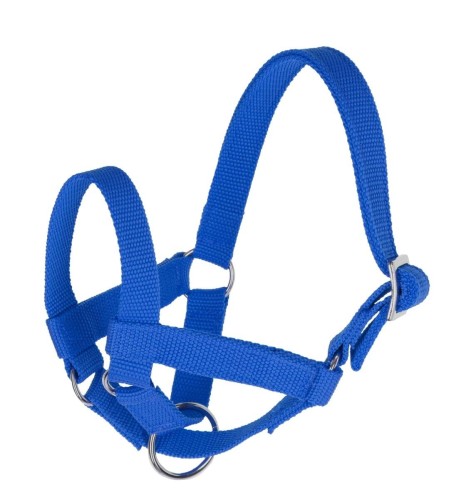 4f751150e76bfe644e877fcc86e182ba