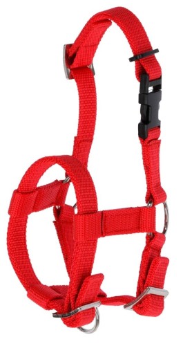 ecb03b5e8993250284e0a365e1a5fa1b