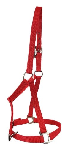 65c50b2cf71d172c83e8ed3602a4bfd8