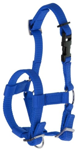 2fa33fff674f0c421b3f12593df37faf