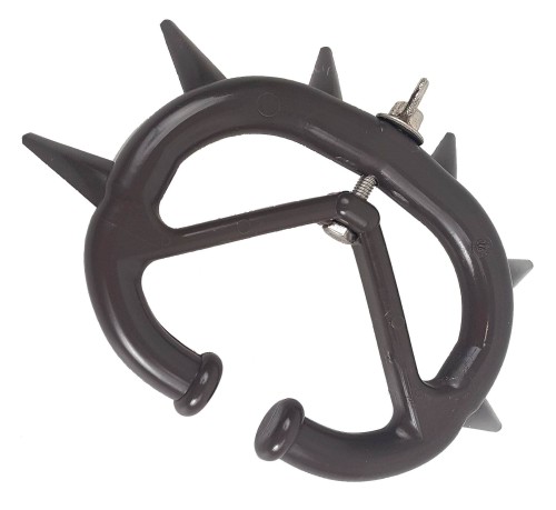 cfa9de144ee81c05da35787a20c1d85a