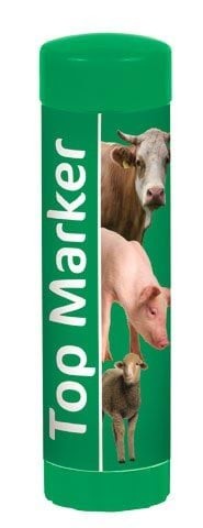 37a74a7b045e635300faa1e82abba84b