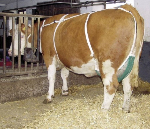 4b23ad9e106f41868e9555b9690d6c4d