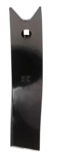 78708736.jpg