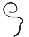 RG00012144.jpg