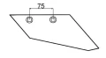 MSRN1.jpg