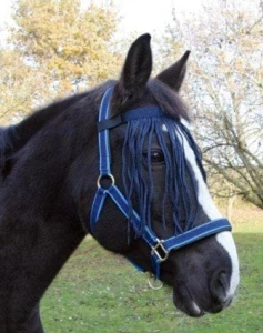 Naczółek z frędzelkami dla konia, granatowy, roz. Pony, Covalliero