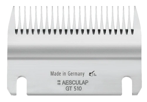 e307f37ce6c804109ec8bb66a0063c0c
