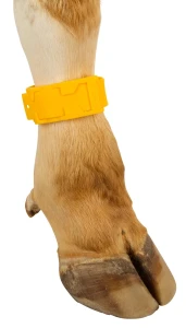 Opaska identyfikacyjna z tworzywa, 37 cm, żółta, Kerbl