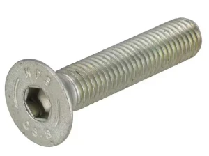 Śruba