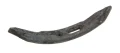 CP119.jpg
