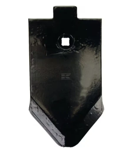 78400604.jpg