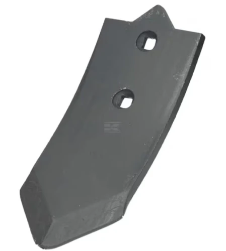 1738050060.jpg